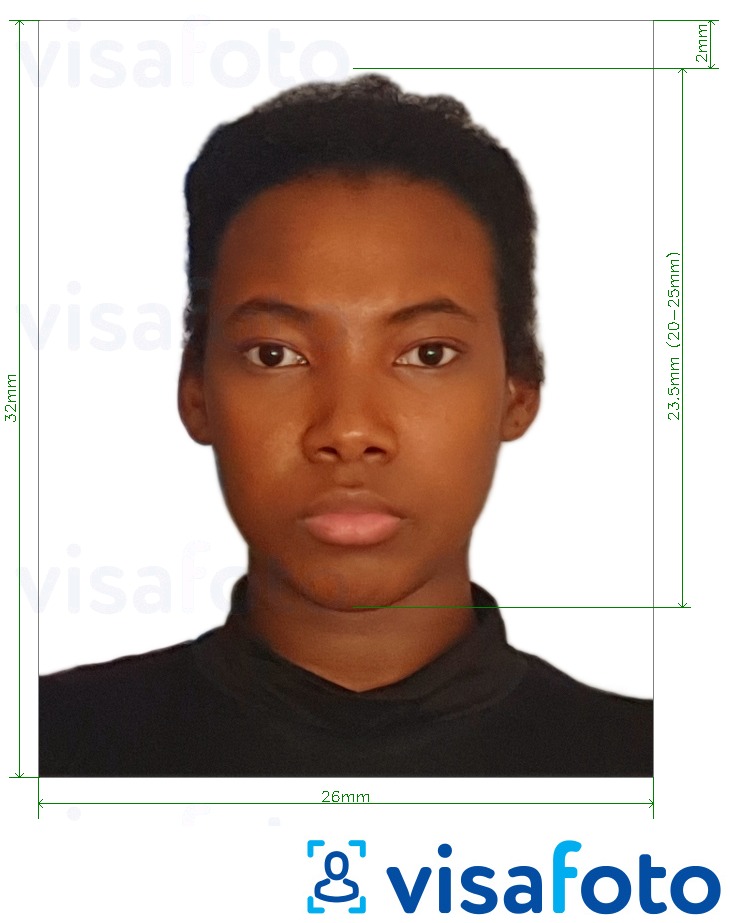 Гайана паспорты 32x26 мм (1.26x1.02 дюйм) үшін нақты мөлшер өлшемі бар фото үлгісі
