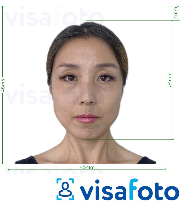 Жапония Visa 45x45мм, басы 34 мм үшін нақты мөлшер өлшемі бар фото үлгісі